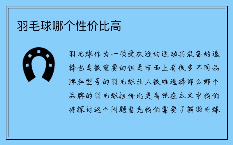 羽毛球哪个性价比高